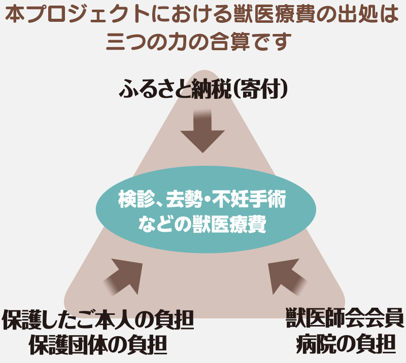 さっぽろほごねこ