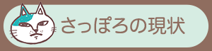 さっぽろほごねこ