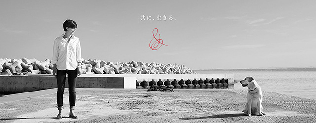 さっぽろほごねこ