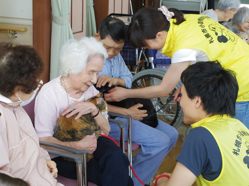 さっぽろほごねこ