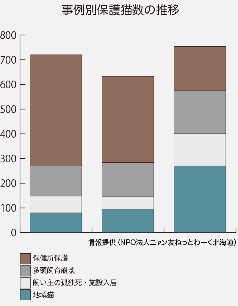 さっぽろほごねこ
