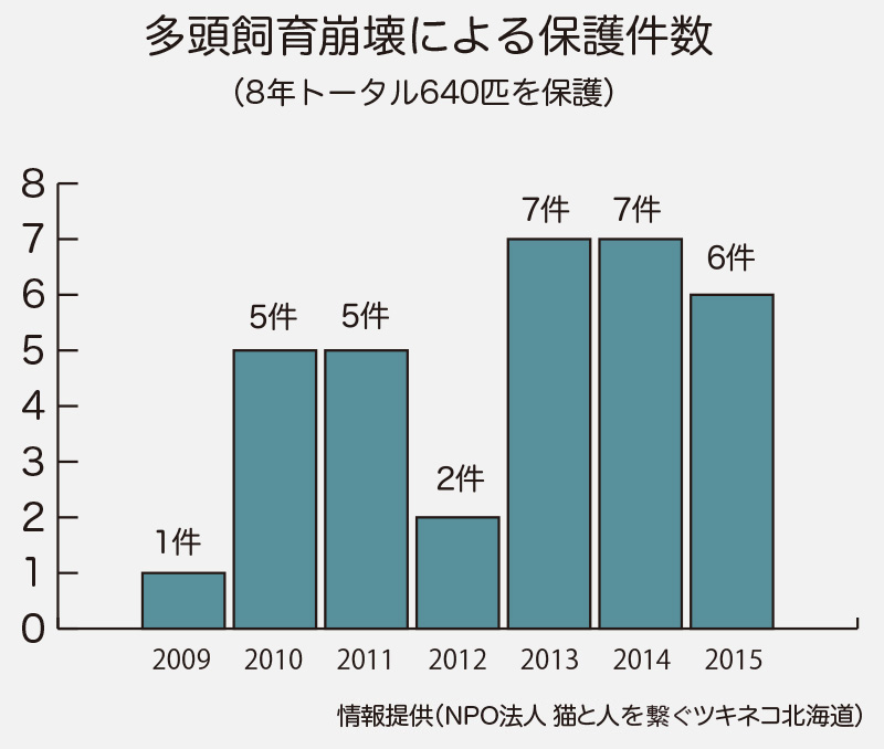 さっぽろほごねこ